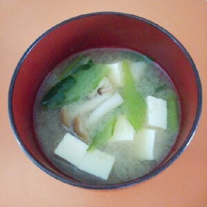小松菜としめじの味噌汁✨豆腐入り